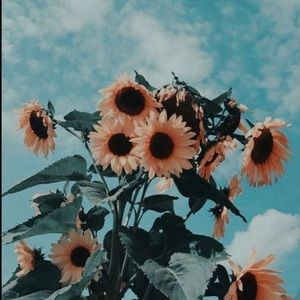 Meet your Posher, Avery